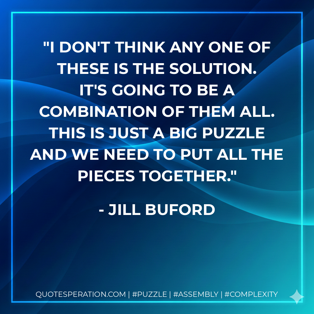 I don't think any one of these is the solution. It's going to be a combination of them all. This is just a big puzzle and we need to put all the pieces together. - Jill Buford