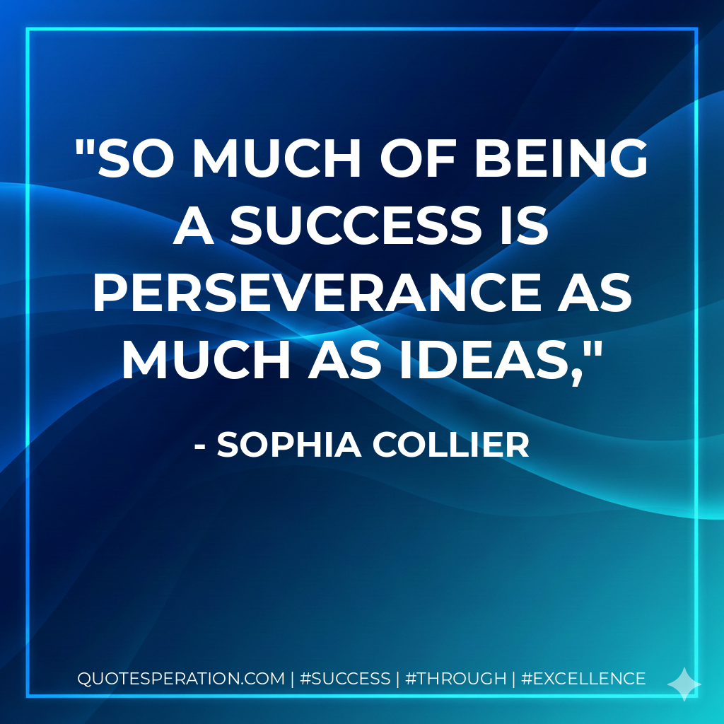 So much of being a success is perseverance as much as ideas, - Sophia Collier