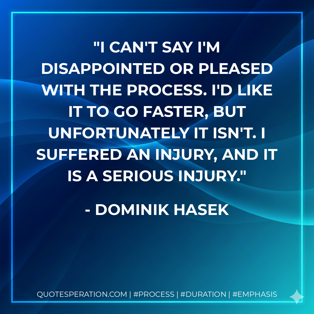 I can't say I'm disappointed or pleased with the process. I'd like it to go faster, but unfortunately it isn't. I suffered an injury, and it is a serious injury. - Dominik Hasek