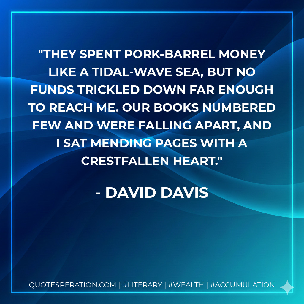 They spent pork-barrel money like a tidal-wave sea, but no funds trickled down far enough to reach me. Our books numbered few and were falling apart, and I sat mending pages with a crestfallen heart. - David Davis