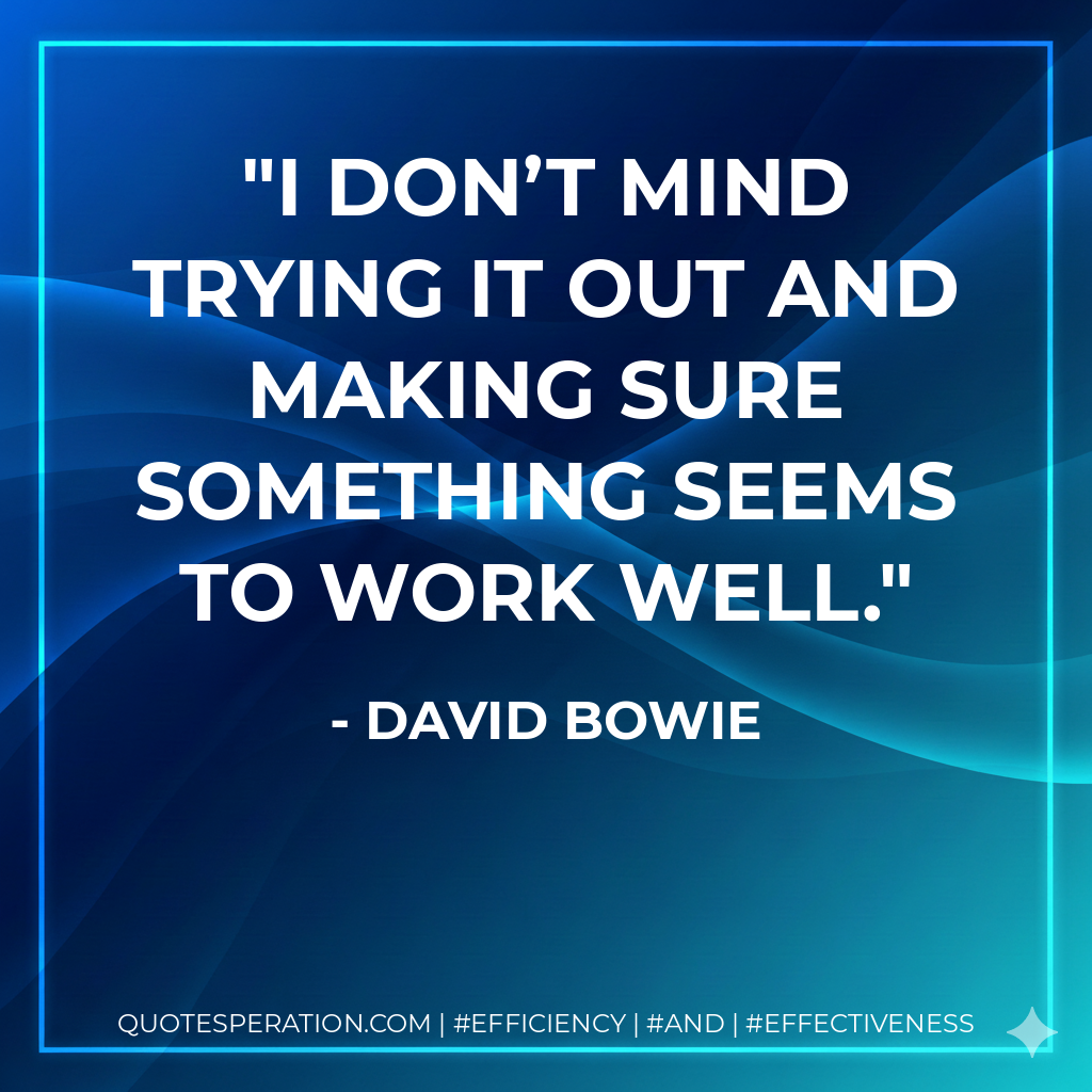 I don’t mind trying it out and making sure something seems to work well. - David Bowie