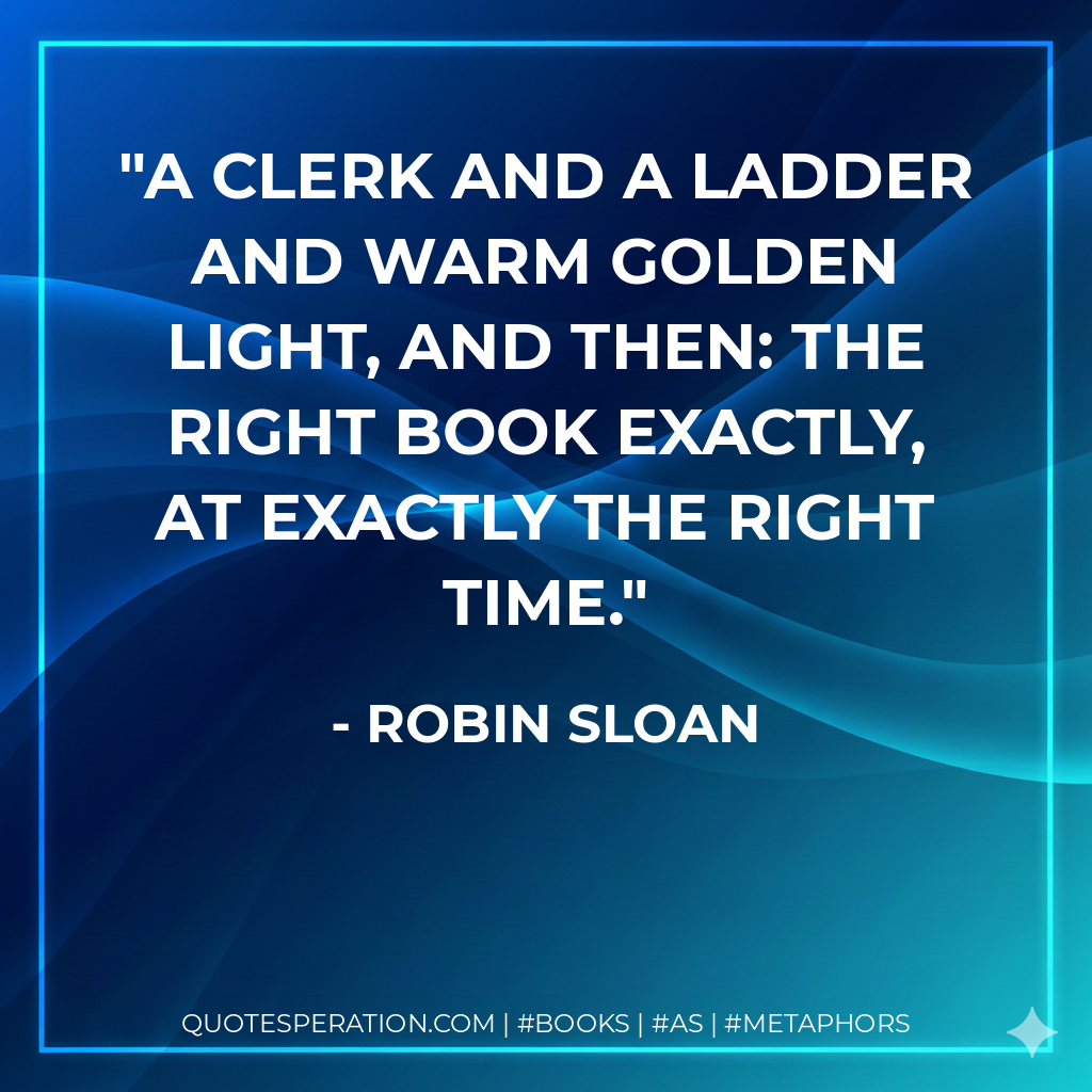 A clerk and a ladder and warm golden light, and then: the right book exactly, at exactly the right time. - Robin Sloan