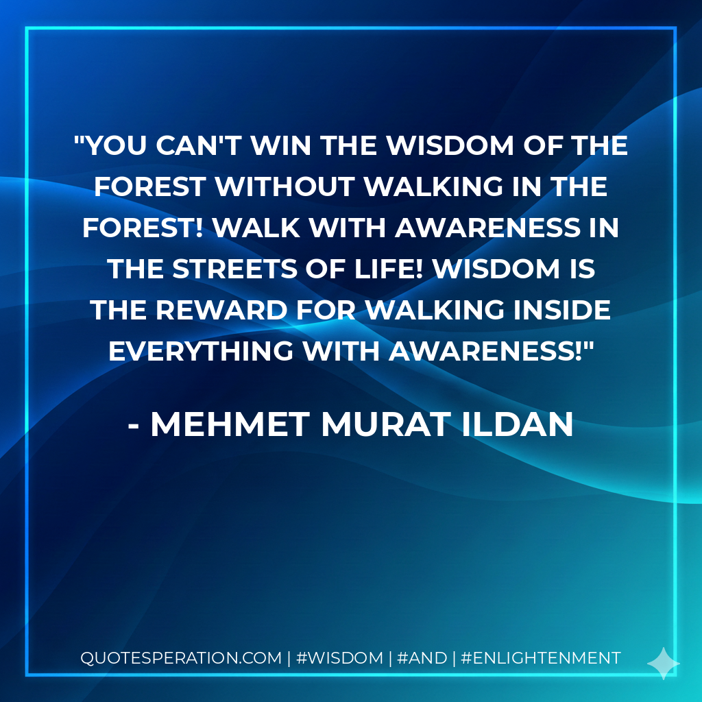 You can't win the wisdom of the forest without walking in the forest! Walk with awareness in the streets of life! Wisdom is the reward for walking inside everything with awareness!