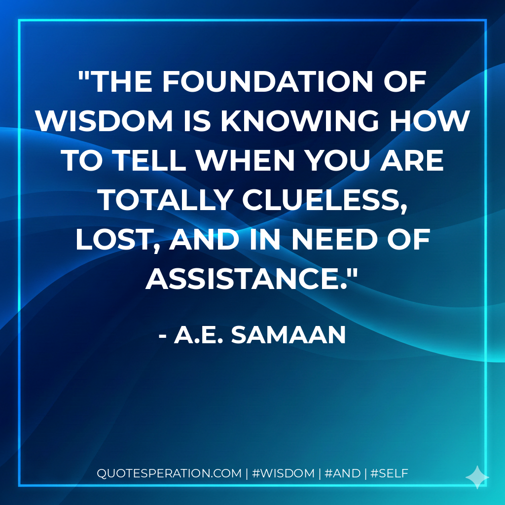 The foundation of wisdom is knowing how to tell when you are totally clueless, lost, and in need of assistance.