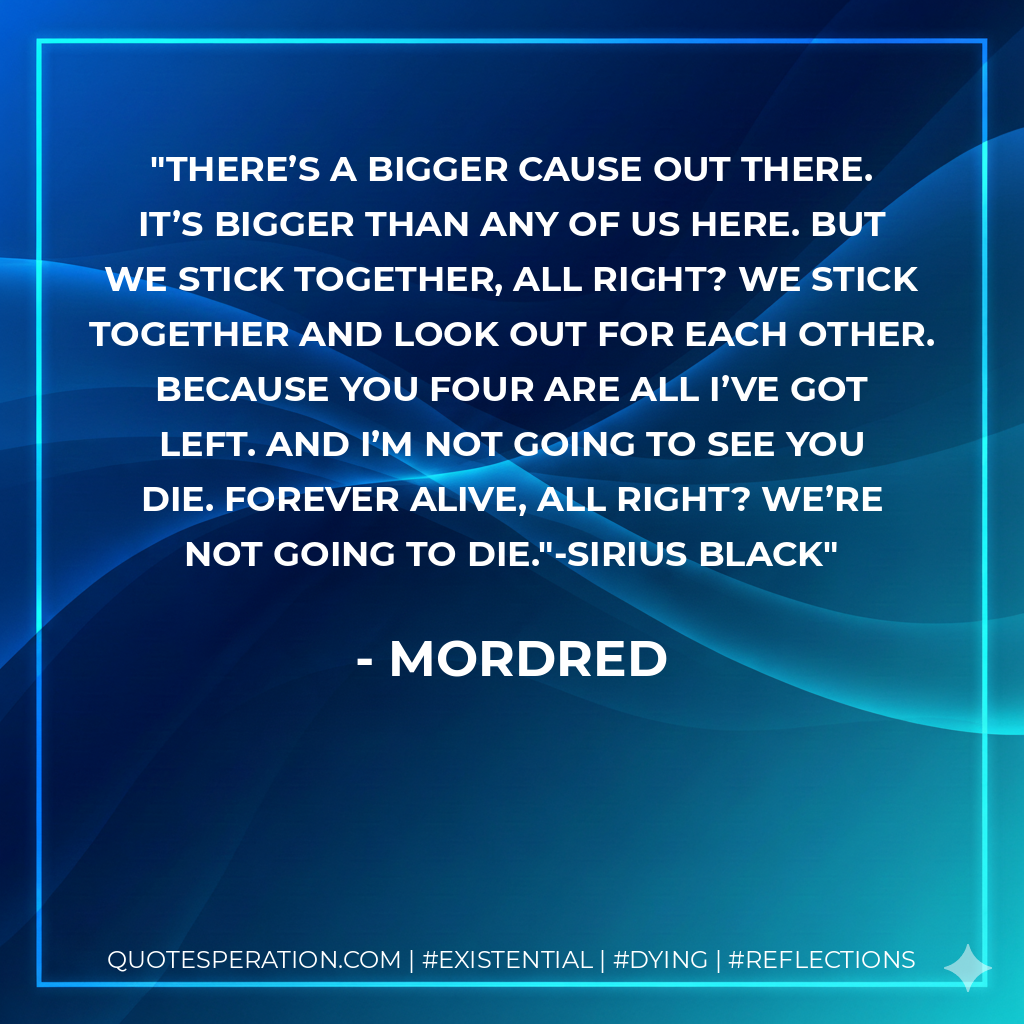 There’s a bigger cause out there. It’s bigger than any of us here. But we stick together, all right? We stick together and look out for each other. Because you four are all I’ve got left. And I’m not going to see you die. Forever alive, all right? We’re not going to die."-Sirius Black