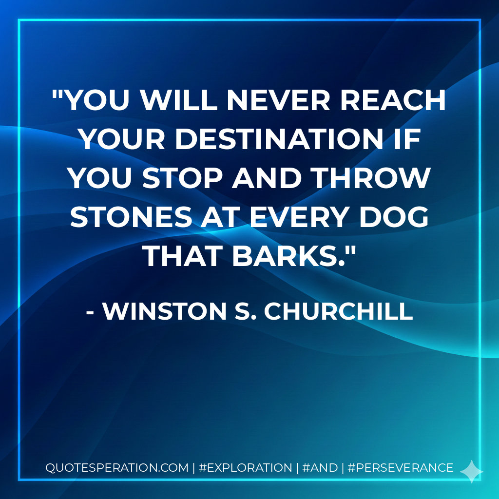 You will never reach your destination if you stop and throw stones at every dog that barks.