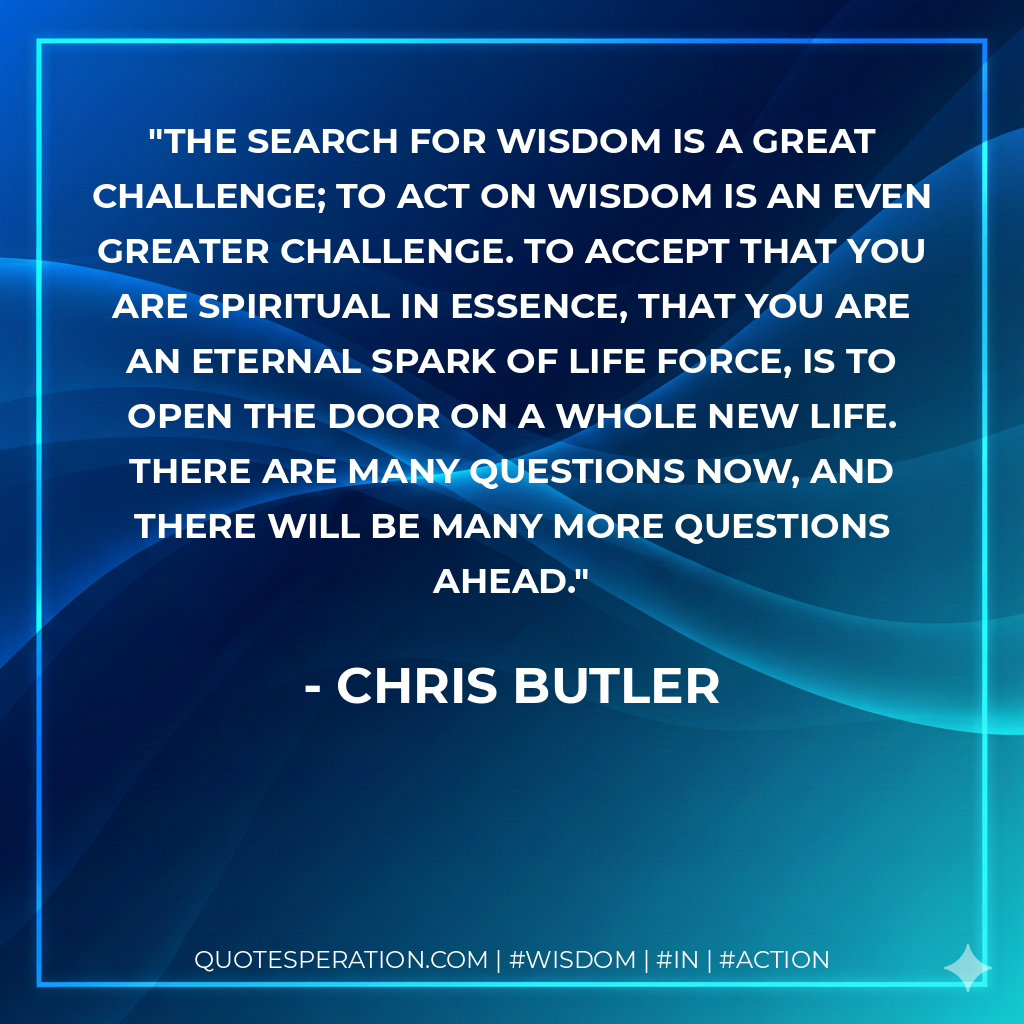 The search for wisdom is a great challenge; to act on wisdom is an even greater challenge. To accept that you are spiritual in essence, that you are an eternal spark of life force, is to open the door on a whole new life. There are many questions now, and there will be many more questions ahead.